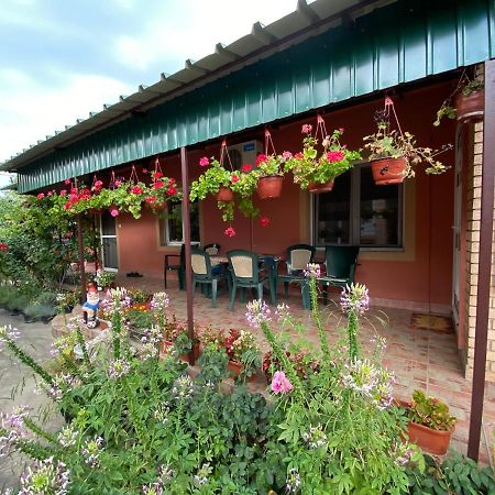 Bed and Breakfast Sud ,,Antal I Olga,, Skorenovac Zewnętrze zdjęcie