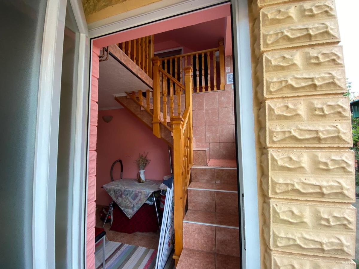 Bed and Breakfast Sud ,,Antal I Olga,, Skorenovac Zewnętrze zdjęcie