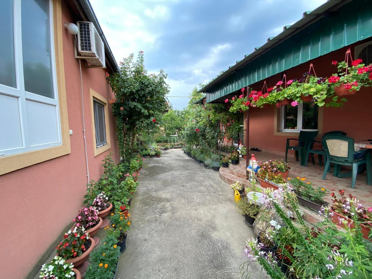 Bed and Breakfast Sud ,,Antal I Olga,, Skorenovac Zewnętrze zdjęcie