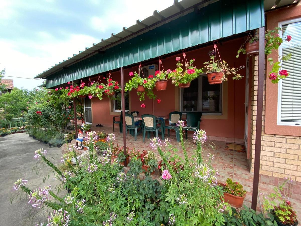 Bed and Breakfast Sud ,,Antal I Olga,, Skorenovac Zewnętrze zdjęcie