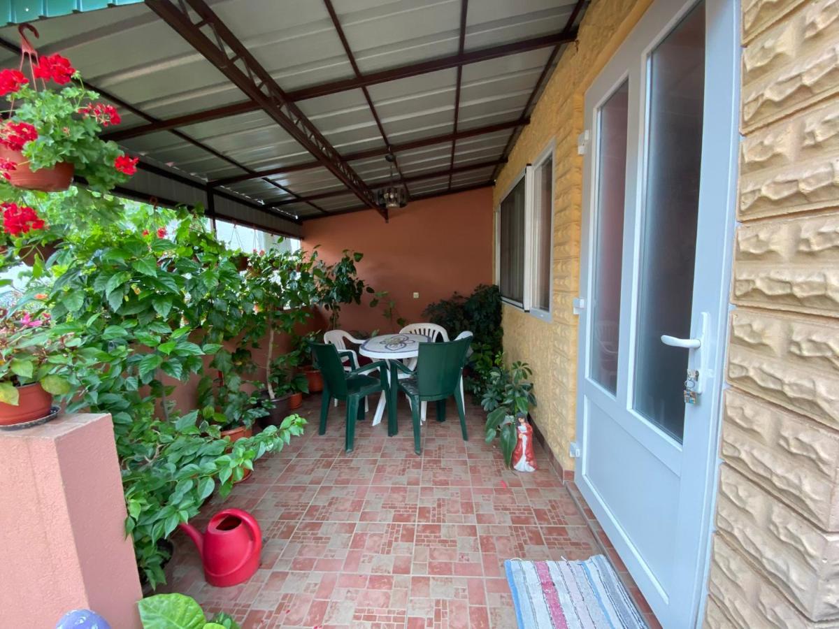 Bed and Breakfast Sud ,,Antal I Olga,, Skorenovac Zewnętrze zdjęcie